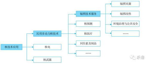 國(guó)內(nèi)輻照技術(shù)服務(wù)龍頭中金輻照